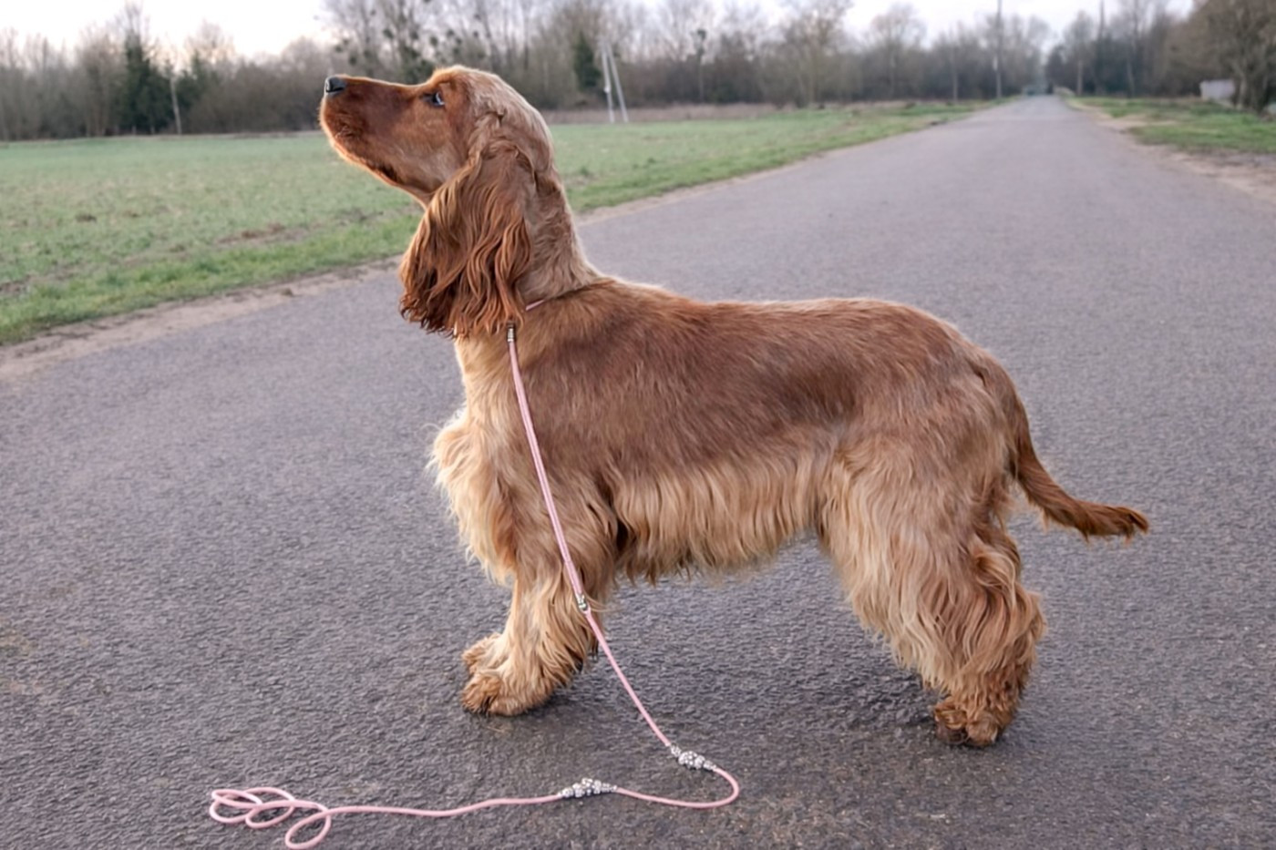 All for love Of Boreal River